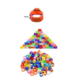 100pcs20mm Chicken Leg Bands,Chicken Leg Rings,Poultry Leg Rings,Pigeon Bands,Poultry Foot Rings,Poultry Identification Leg Bands,Chicken Identification Leg Bands,for Dove Parrot Bird Identification