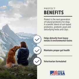 Four Leaf Rover Protect - Probiotics for Dogs - Veterinarian Formulated - with Natural Prebiotics and Antioxidants - Detoxification & Gut Health - 30 Day Large Dog Supply