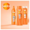 Shampoo Sedal Restauración Instantánea 2 en 1 620 ml