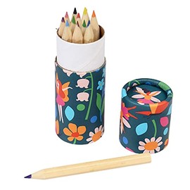 Rex London Set of 12 Colouring Pencils In a Tube - Choice of Design (Fairies In The Garden)