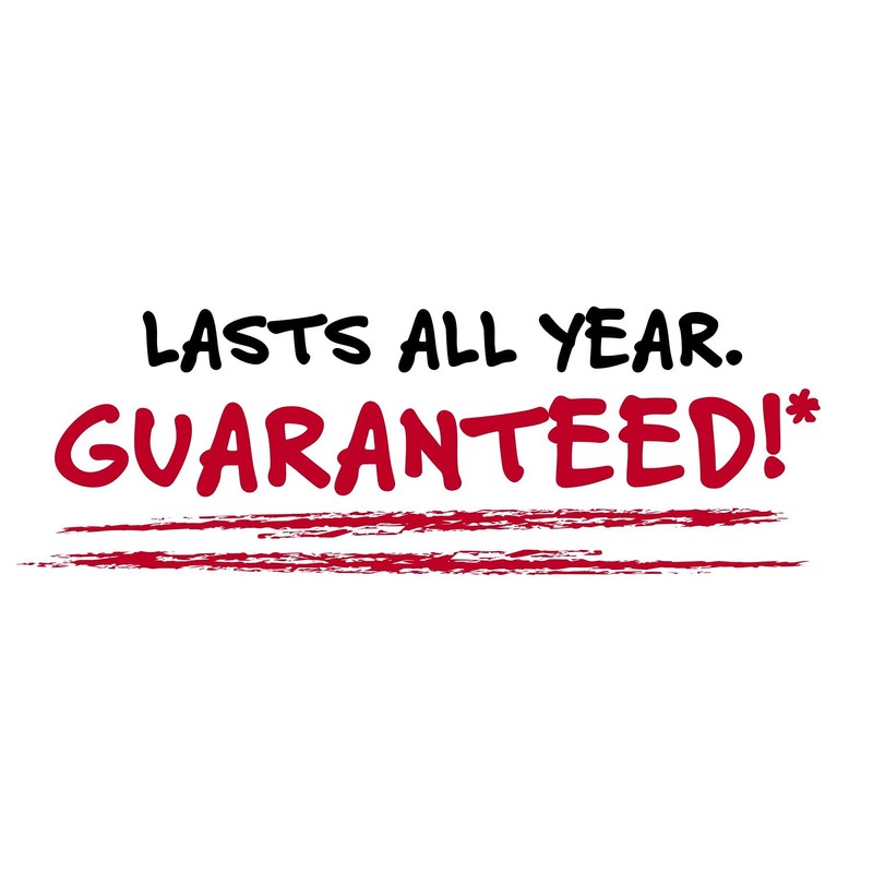 Five Star Small Spiral Notebook, 2-Subject, College Ruled Paper, 9-1/2"