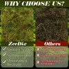 ZeeDix 2.2LBS Sphagnum Moss for Reptiles, 20QT Reptile Bedding Substrate