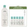 ShamPure Liter Shampoo (+Shampoo Conditioner 100ml Body Wash 50ml Pump) For the whole family / 샴퓨어 리터 샴푸 (+샴푸 컨디셔너 100ml바디워시 50ml펌프) 온가족용