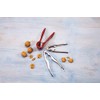Tescoma NUTCRACKER GRANDCHEF, metal