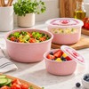 3-Piece Wheat Straw Food Storage Bowl Set for Meals –