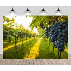 CHNYWORK 7ftx5ft Vineyard Backdrop Grape Harvest France Grapevines Background Wedding Lover Couple France Travel Theme Party Decor Green Field Landscape Honeymoon Anniversary Birthday Decor Props