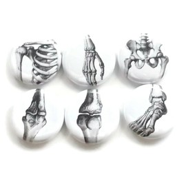 Ortho 6 Magnets Physical Therapy Graduation Gift Office Decor Party Favors