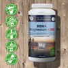 Boma Lecithin Magnesium 300+ Complex Pure Elementary Magnesium Made from
