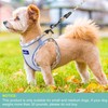 haapaw Dog Harness with Leash Set, No Pull Adjustable Reflective