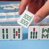gisgfim Blank Mahjong Tiles Set Include 28 Pcs Blank Mahjong
