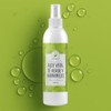 Tónico De Aloe Vera,Té Verde Hamamelis Hidratante Facial 500 Ml