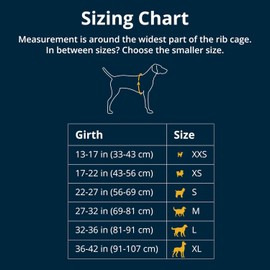 Ruffwear, Confluence Life Jacket for Dogs, Comfortable and Adjustable Dog Life Vest with Reinforced Handles, Leash Connection, and Reflective Accents, Biolumin Blue, Medium