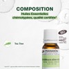 Pranarom Tea Tree BIO 0.3 fl oz (10 ml) (PRANAROM