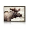 Deer Picture Wall art Framed - Rustic Elk Portrait Moose