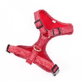 Angie and Allie Organic Cotton Dog Harness,No Pull Pet Harness with Leash D-Ring,Adjustable Soft Padded Dog Vest,Comfortable,Sustainable,Breathable and Stylish for Your Canine Companion