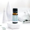 ECO. Modern Essentials Meditation Essential Oil Blend, 10ml