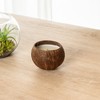 Restaurantware-Coco Casa 3.9 x 2.8 Inch Coconut Shell Candle, 1