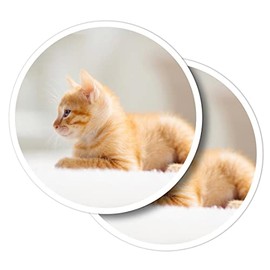 Vinyl Round Stickers (Set of 2) 10cm - Cute Tiny Ginger Kitten Cat Pet for Laptops, Tablets, Luggage, Scrap Booking, Fridges #50704