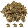 hobbyhub 100Pcs Eagle Head Shaped Charms,Alloy DIY Charms for Jewelry