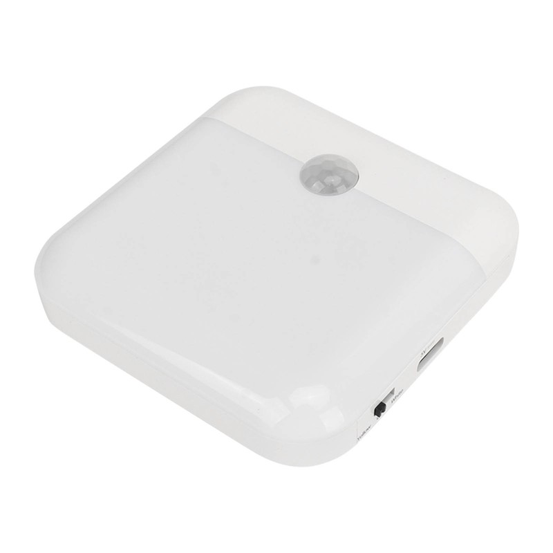 Motion Sensor Dimmable Night Light Two Colors Bedside Induction Lamp