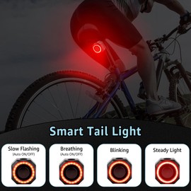 NineLeaf Bike Alarm Anti Theft with Remote, Rechargeable Bike Tail Light, 113dB Loud Sound, USB Charging, IP65 Waterproof Bicycle Alarm System for E-Bikes, Scooters, and Motorcycles (1 Pack)