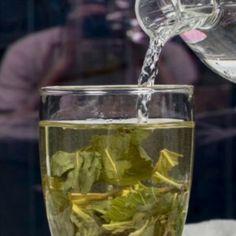 Ecology Dried Mint Tea Peppermint Leaf Herbal Tea Pennyroyal Tea