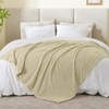 BEDELITE Fleece Throw Blanket for Couch & Bed - 3D