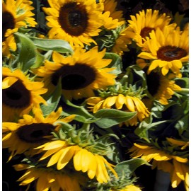 ni-ruzuya-do remedyi-zu Base Massage Oil (Oil Base/Carrier Oil) 100ml