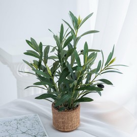 Ewtogift Indoor Fake Olive Plant 12 inch Faux Silk Leaves with Black Rustic Planter Medium Size Perfect Artificial Olive Fruits with Realistic Trunk and Lifelike Stems for Home and Office Decor