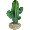 Multi Pet 48593324: Komodo Cactus Plant Saguaro, 9.5In