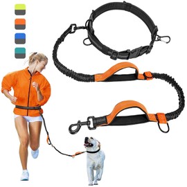 PUBAMALL Correa de Perro para Correr sin Manos - Correa de Puenting Duradera, Costuras Reflectantes - Correa de Cintura Ajustable Que Absorbe los choques, para Correr, Trotar, Caminar (Naranja)