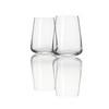 Schott Zwiesel Passionata Large Tumbler x2