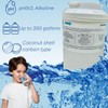 AF-MWF-Alkaline Water Filter Replacement Compatible with GE model MWF, 2X