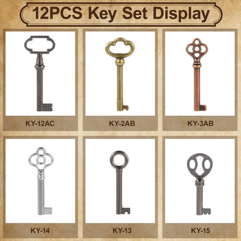 12PCS Hollow Barrel Skeleton Key, Universal Barrel Key Replacement, Generic