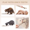 Cats Teething Chew Toys Edible Chew Toys for Cats to
