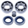 Crankshaft Crank Ball Needle Bearing Oil Seals Kit for HUSQVARNA