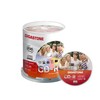 GIGASTONE 100 Pack CD-R 48X 80 min/700MB