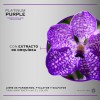 MARTHA DEBAYLE HAIR TECH Platinum Purple Acondicionador. Matiza y neutraliza.