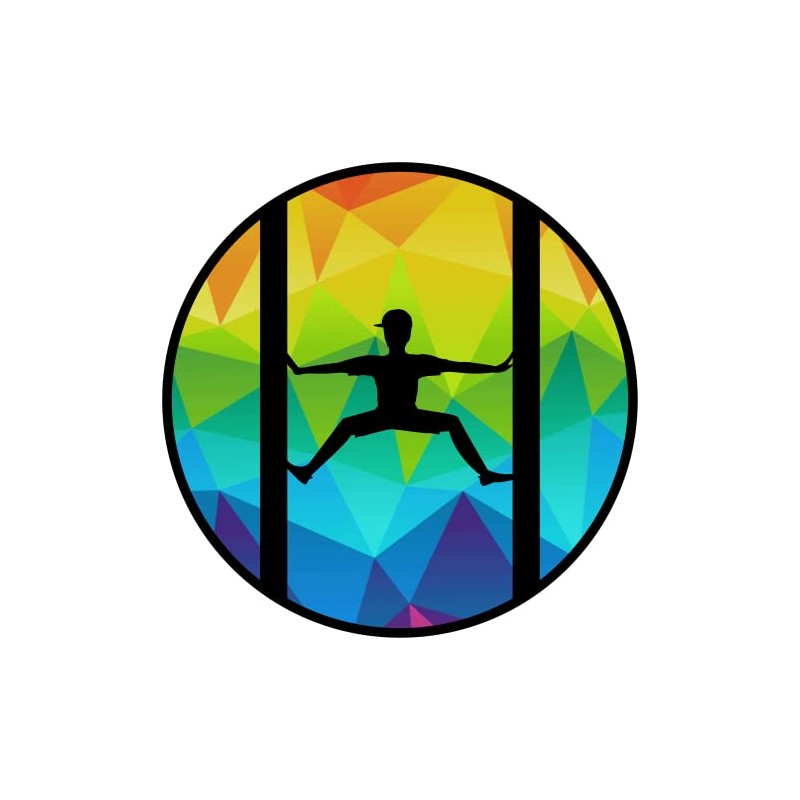 Ninja Warrior Inspired Obstacles Stickers Featuring Salmon Ladder, Jumping Spider