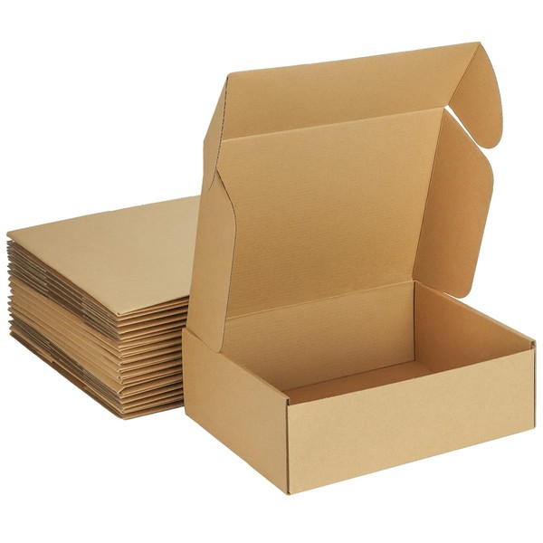 MEBRUDY 12x9x4 Inches Shipping Boxes Pack of 20, Small Corrugated Cardboard Box for Mailing Packing Literature Mailer