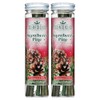 Scentsicles Snowberry Pine Scented Ornaments - 2 Pack (12 Sticks