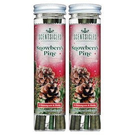 Scentsicles Snowberry Pine Scented Ornaments - 2 Pack (12 Sticks Total)
