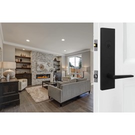 Weslock 066217272SL2D Addy Entry Handle with Philtower Lever (Active)