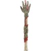 Horror Walking Undead Zombie Hand Back Scratcher