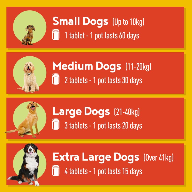 A-OK9 Flexi-K9 Hip and Joint Supplements for Dogs - 60