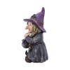 Nemesis Now D5049R0 Double Small Witch and Cauldron Figurine, Polyresin,