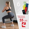 6-Level Resistance Loop Bands 15-55LBS for PT & Strength Training