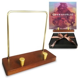 OUDFJASPQ Vinyl Record Storage Holder, Wood Metal Record Stand for Albums,Now Playing Vinyl Record Stand Holder, Album Storage