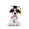 Plushland Cuddly Dog Toy, Graduation Cap and Diploma Stuffed Animal