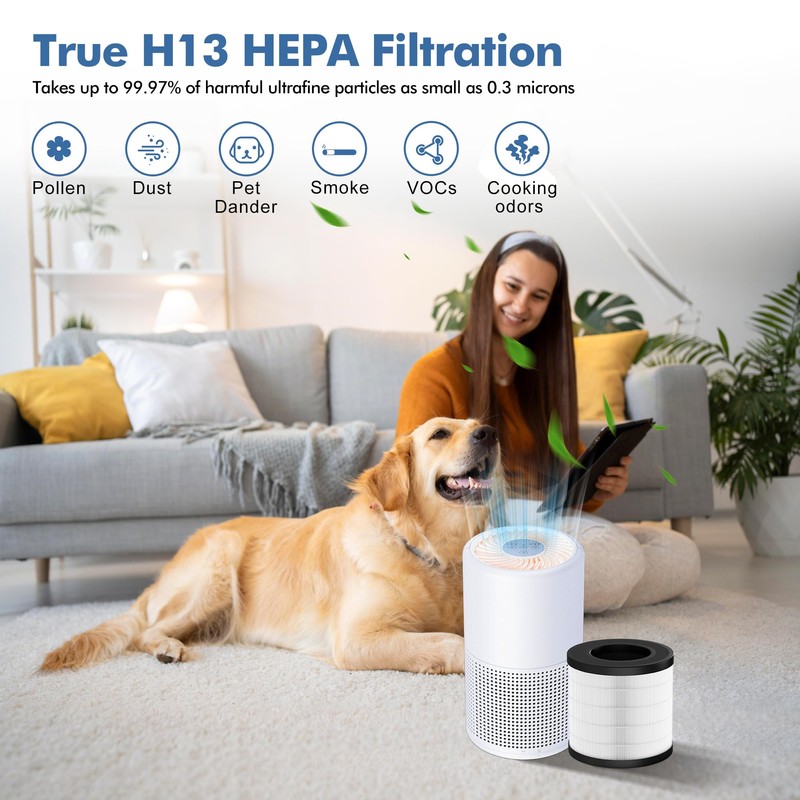 PU-P05/AC201B Replacement Filter Compatible with FULMINARE PU-P05 and Purivortex AC201B